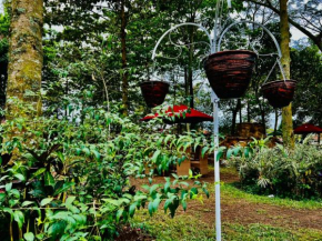 Lweza Forest Resort